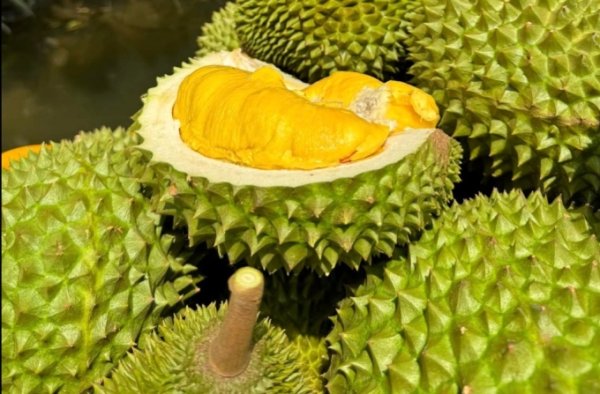 Trung Quốc tăng nhu cầu về nhu